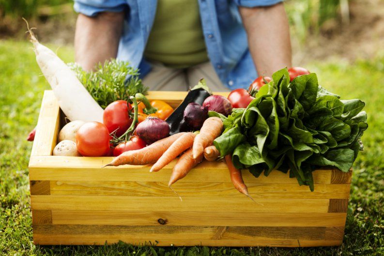 Alimentos crudos