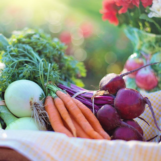 Menu para bajar de peso vida vegana Menu para bajar de peso vida vegana